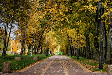 Аллея с фонарями и скамейками в парке