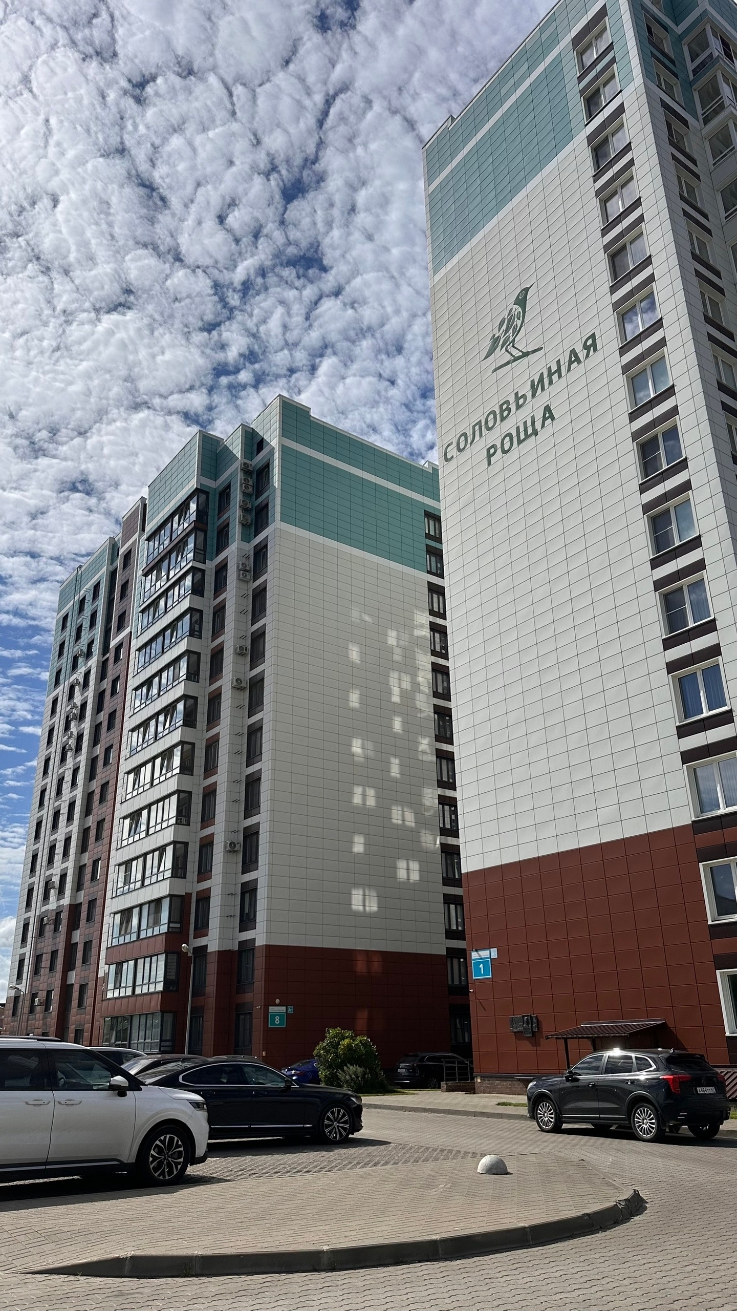 Строительство продолжается: показываем ход работ